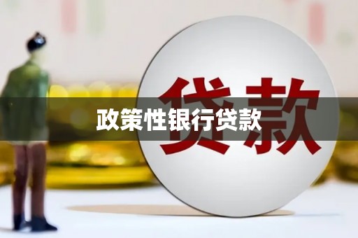 和田县政策性银行贷款