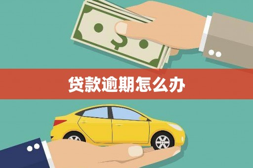 和田县贷款逾期怎么办