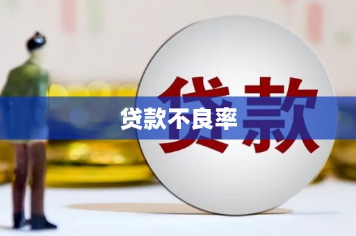 和田县贷款不良率