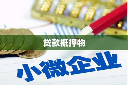 和田县贷款抵押物
