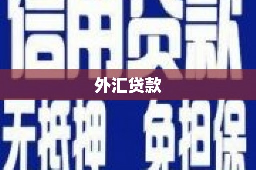 和田县外汇贷款