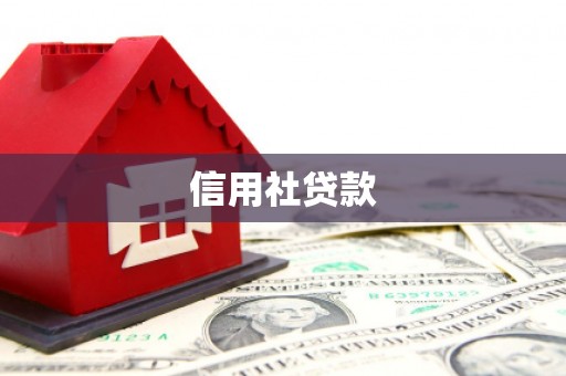 和田县信用社贷款