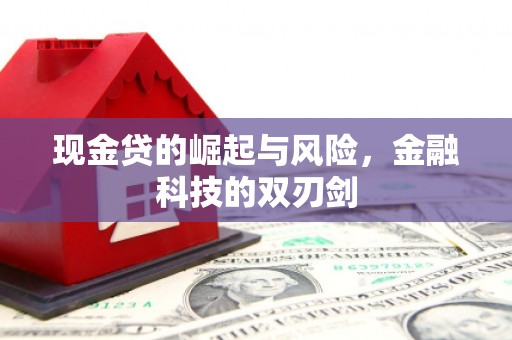 和田县现金贷的崛起与风险，金融科技的双刃剑