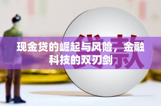 和田县现金贷的崛起与风险，金融科技的双刃剑
