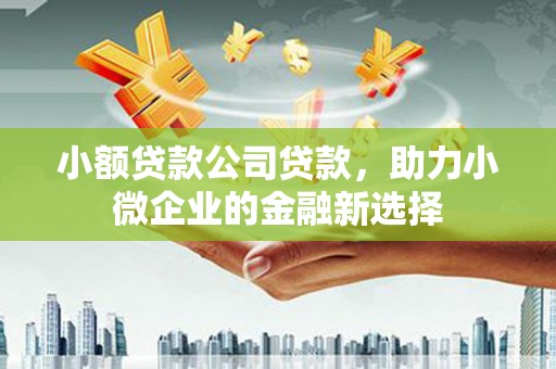 和田县小额贷款公司贷款，助力小微企业的金融新选择