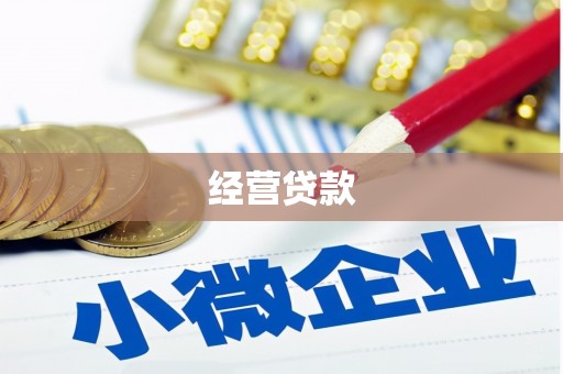 和田县经营贷款