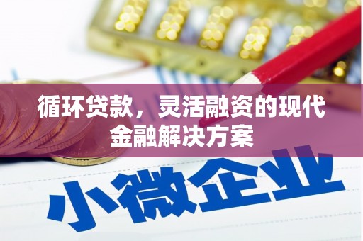 和田县循环贷款，灵活融资的现代金融解决方案