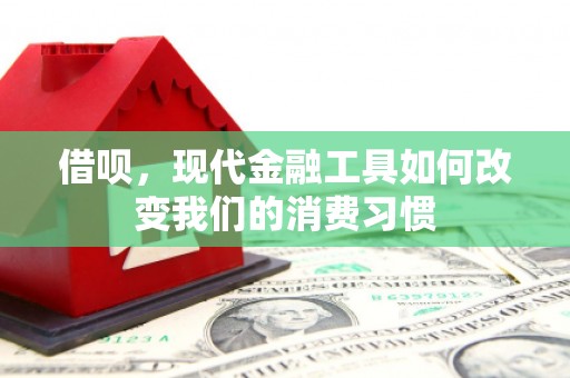 和田县借呗，现代金融工具如何改变我们的消费习惯