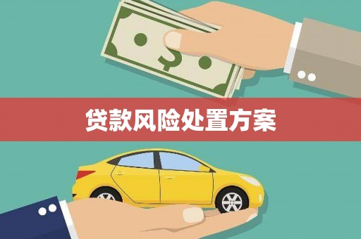 和田县贷款风险处置方案
