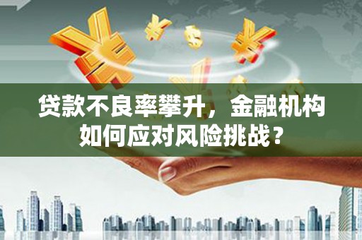 和田县贷款不良率攀升，金融机构如何应对风险挑战？