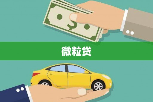 和田县微粒贷