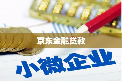 和田县京东金融贷款