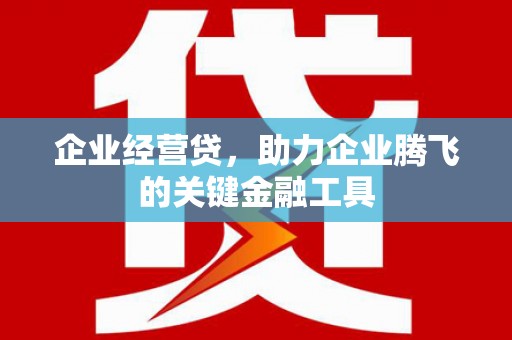 和田县企业经营贷，助力企业腾飞的关键金融工具