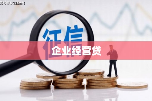 和田县企业经营贷