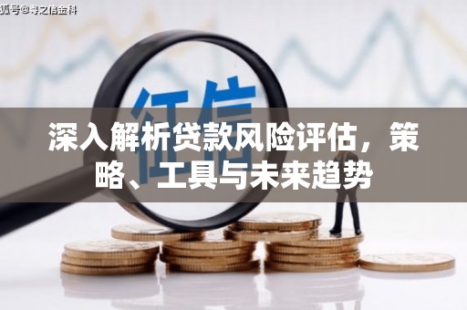 和田县深入解析贷款风险评估，策略、工具与未来趋势