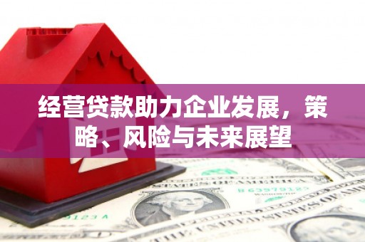 和田县经营贷款助力企业发展，策略、风险与未来展望