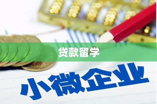 和田县贷款留学