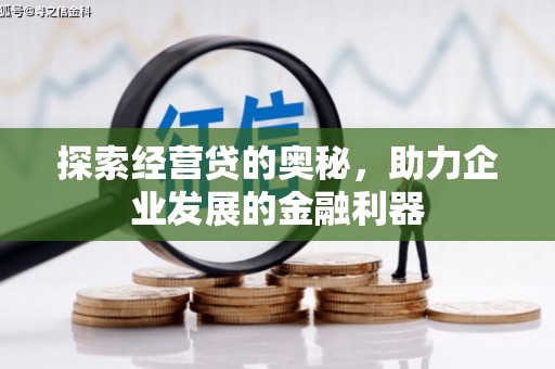 和田县探索经营贷的奥秘，助力企业发展的金融利器