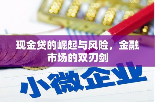 和田县现金贷的崛起与风险，金融市场的双刃剑