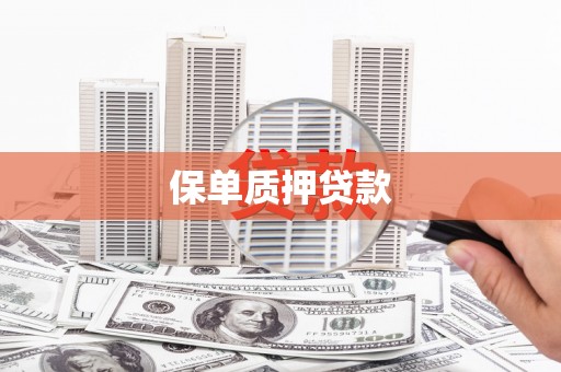 和田县保单质押贷款