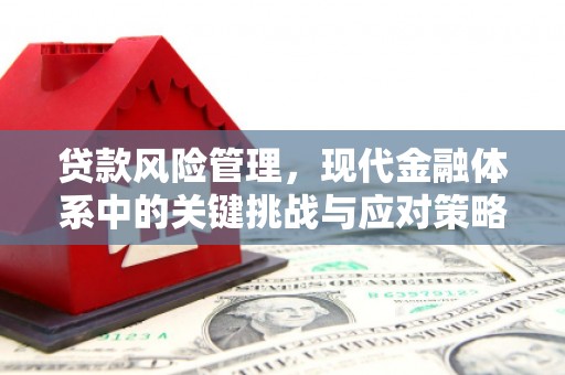 和田县贷款风险管理，现代金融体系中的关键挑战与应对策略
