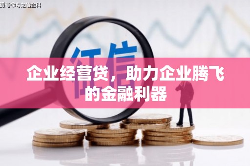 和田县企业经营贷，助力企业腾飞的金融利器