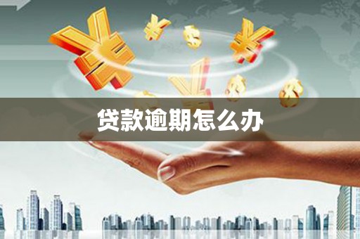 和田县贷款逾期怎么办