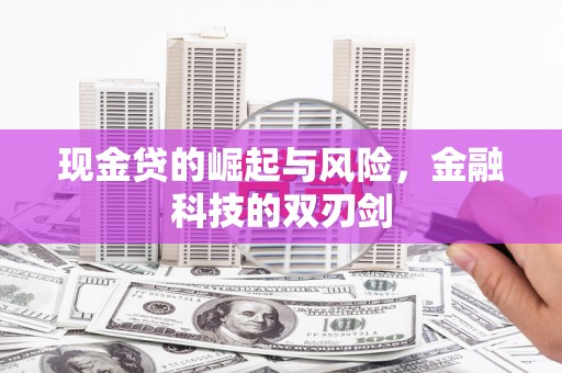和田县现金贷的崛起与风险，金融科技的双刃剑