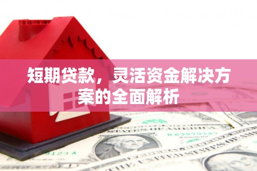 和田县短期贷款，灵活资金解决方案的全面解析