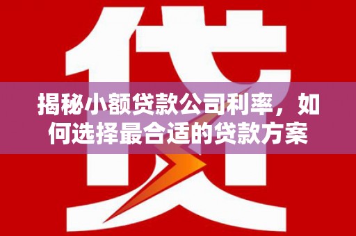 和田县揭秘小额贷款公司利率，如何选择最合适的贷款方案