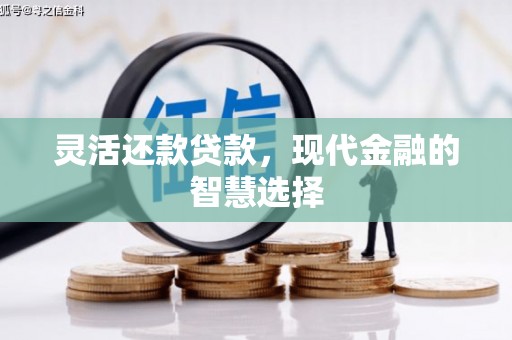 和田县灵活还款贷款，现代金融的智慧选择
