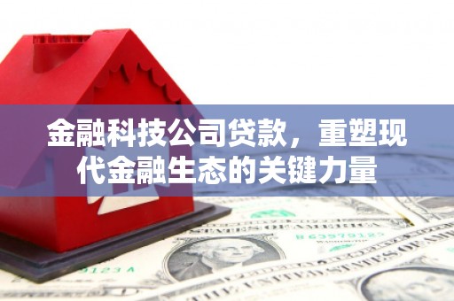 和田县金融科技公司贷款，重塑现代金融生态的关键力量