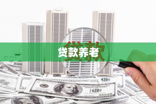 和田县贷款养老