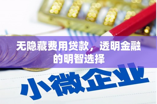 和田县无隐藏费用贷款，透明金融的明智选择