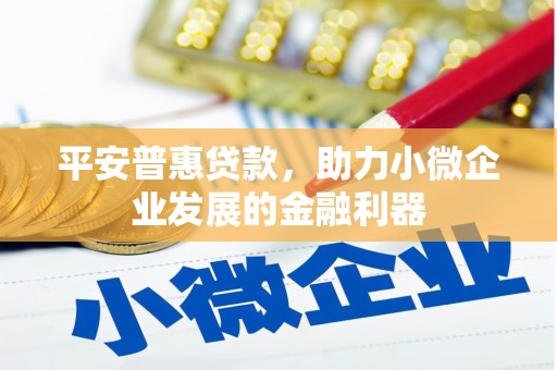 和田县平安普惠贷款，助力小微企业发展的金融利器