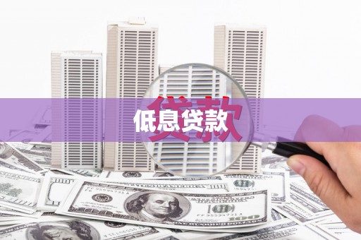 和田县低息贷款