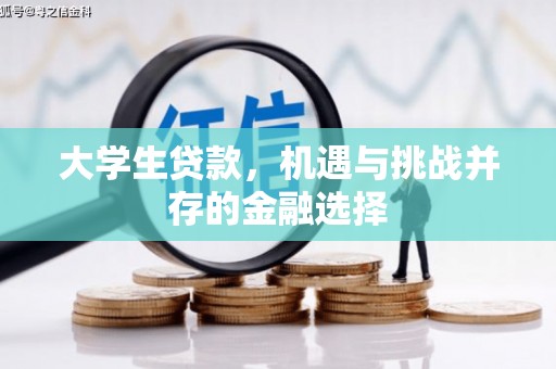 和田县大学生贷款，机遇与挑战并存的金融选择