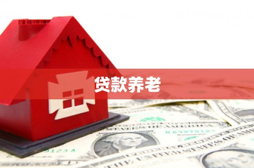 和田县贷款养老