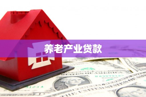 和田县养老产业贷款