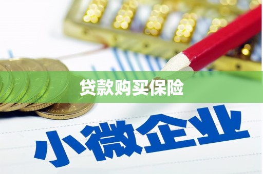 和田县贷款购买保险