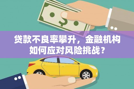 和田县贷款不良率攀升，金融机构如何应对风险挑战？