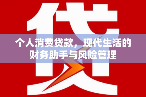 和田县个人消费贷款，现代生活的财务助手与风险管理