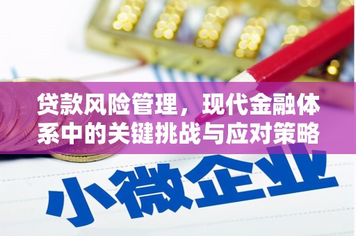 和田县贷款风险管理，现代金融体系中的关键挑战与应对策略