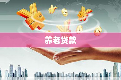 和田县养老贷款