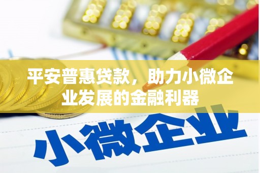 和田县平安普惠贷款，助力小微企业发展的金融利器