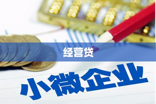 和田县经营贷